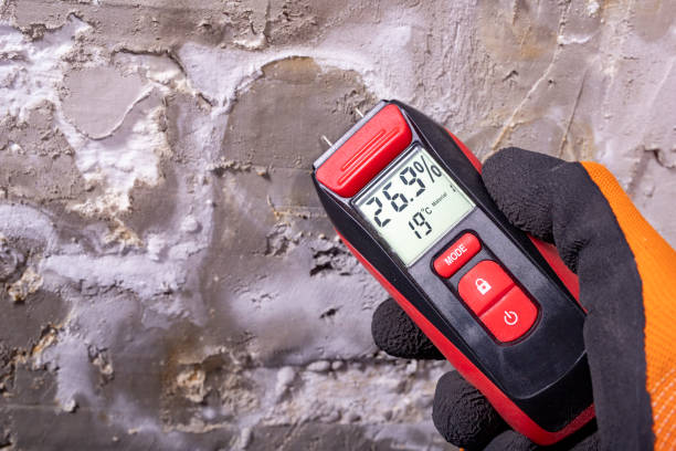 Best Professional Mold Removal  in Parma, ID