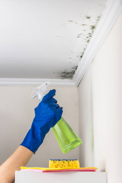 Best Crawl Space Mold Removal  in Parma, ID